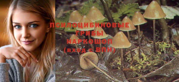 героин Алзамай