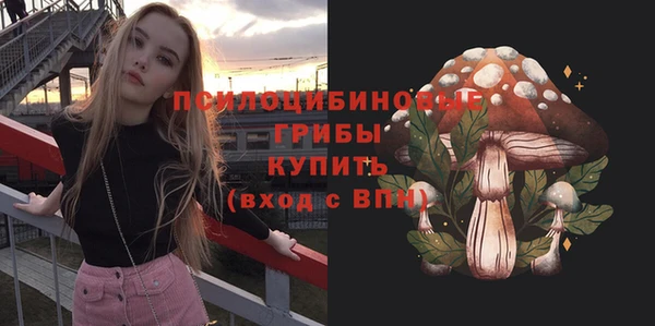 молекула духа Алексин
